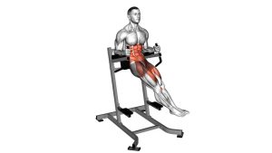 Read more about the article Twisted Leg Raise