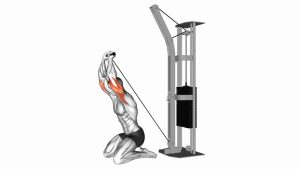 Read more about the article Cable Kneeling Triceps Extension