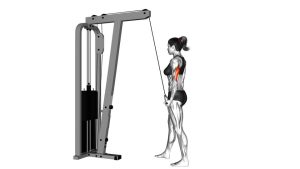 Read more about the article Cable Standing One-Arm Triceps Extension