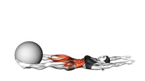Read more about the article V-Up Down with Stability Ball