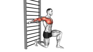Read more about the article Arms Stretch on a Support