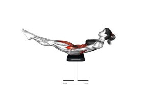 Read more about the article Butt Bridge