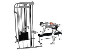 Read more about the article Cable Bent-Over Single-Arm Neutral Grip Kickback with Rope Attachment