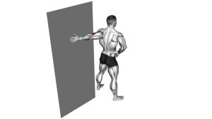 Read more about the article Elbow Flexor Stretch