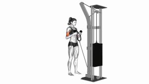 Read more about the article Cable Hammer Curl