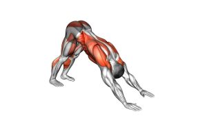 Read more about the article Downward-Facing Dog Stretch