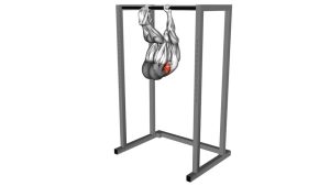 Read more about the article Hanging Pike