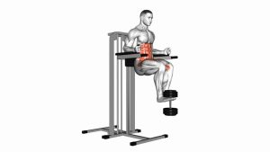 Read more about the article Weighted Captain’s Chair Leg Raise