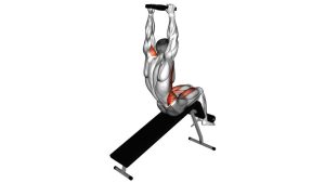 Read more about the article Weighted Decline Sit-Up