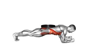 Read more about the article Weighted Front Plank