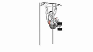 Read more about the article Weighted Hanging Leg Hip Raise