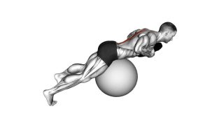 Read more about the article Weighted Hyperextension on Stability Ball