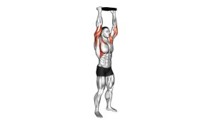 Read more about the article Weighted Plate Standing Overhead Press