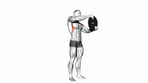 Read more about the article Weighted Round Arm Shoulder Raise