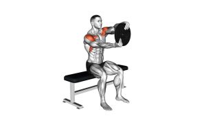 Read more about the article Weighted Seated Plate Driver