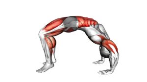 Read more about the article Wheel Pose (Urdhva Dhanurasana)