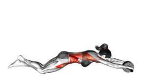 Read more about the article Ab Wheel Rollout