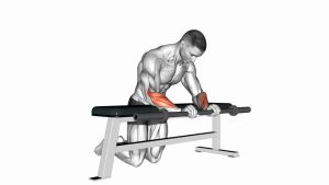 Read more about the article Barbell Palms-Down Wrist Curl Over a Bench