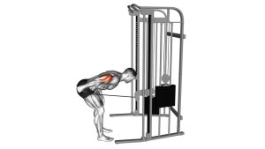 Read more about the article Cable Neutral Grip Kickback