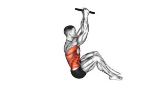 Read more about the article Weighted Sit-Up with Plate Raise