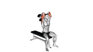 Read more about the article Dumbbell Seated Alternate Overhead Triceps Extension