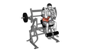 Read more about the article Lever Seated Leg Raise Crunch (Plate-Loaded)