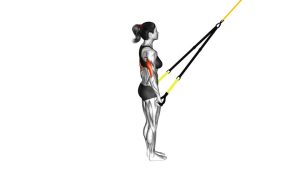 Read more about the article Suspension Trainer Triceps Kickback