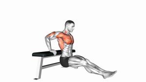 Read more about the article Bench Dip on Floor