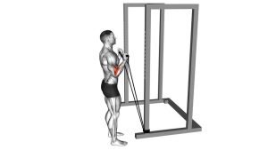 Read more about the article Resistance Band Standard Biceps Curl