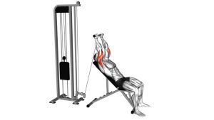 Read more about the article Cable Incline Skull Crusher