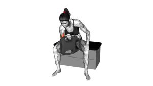 Read more about the article Bottle Weighted Reverse-Grip Concentration Curl