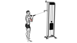 Read more about the article Cable Standing Pulldown (Rope)