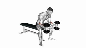 Read more about the article Dumbbell Seated Neutral Wrist Curl