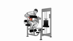 Read more about the article Lever Seated Crunch (Chest Pad)