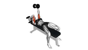 Read more about the article Dumbbell Lying Alternate Extension