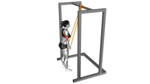 Read more about the article Resistance Band Triceps Pushdown