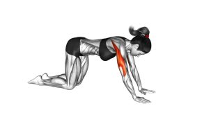 Read more about the article Bodyweight Kneeling Triceps Extension
