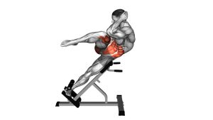 Read more about the article 45-Degree Bicycle Twisting Crunch