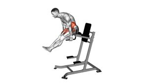 Read more about the article Captain’s Chair Ab Tuck