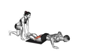 Read more about the article Assisted Nordic Hamstring Curl
