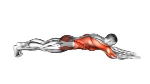 Read more about the article Back Steps Plank