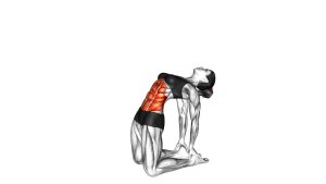 Read more about the article Backward Abdominal Stretch