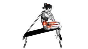 Read more about the article Band Decline Sit-Up