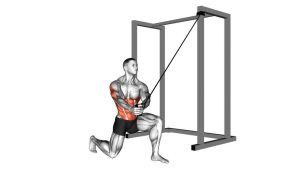 Read more about the article Resistance Band Half-Kneeling Chop