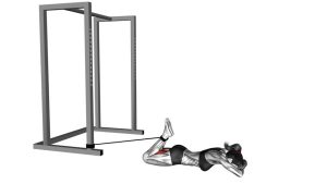 Read more about the article Resistance Band Lying Leg Curl