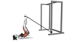 Read more about the article Band Reverse Crunch