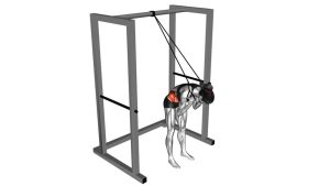 Read more about the article Resistance Band Standing Crunch