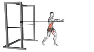 Read more about the article Resistance Band Standing Twist