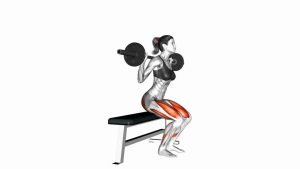 Read more about the article Barbell Bench Squat