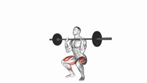 Read more about the article Barbell Front Squat